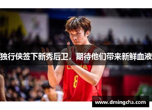 独行侠签下新秀后卫，期待他们带来新鲜血液