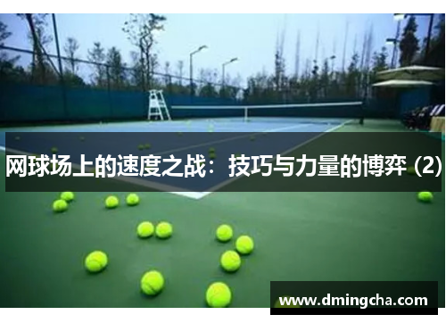 网球场上的速度之战：技巧与力量的博弈 (2)