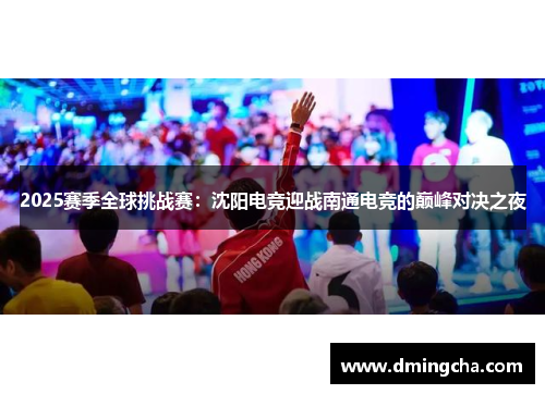 2025赛季全球挑战赛：沈阳电竞迎战南通电竞的巅峰对决之夜