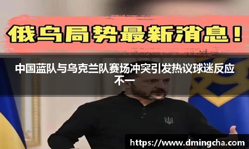 中国蓝队与乌克兰队赛场冲突引发热议球迷反应不一